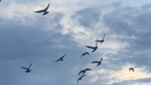 Wissenschaft & Energiearbeit – ein Widerspruch? Oder eine neue Sichtweise?